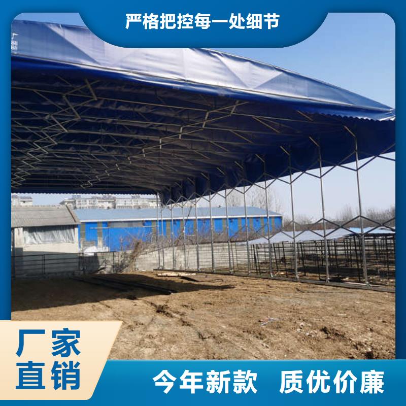 遮阳棚厂家