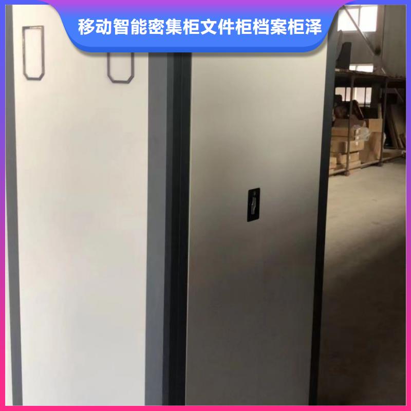质保十年【泽信】档案保管柜