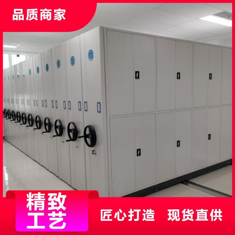 十年质保【鑫康】字画密集柜