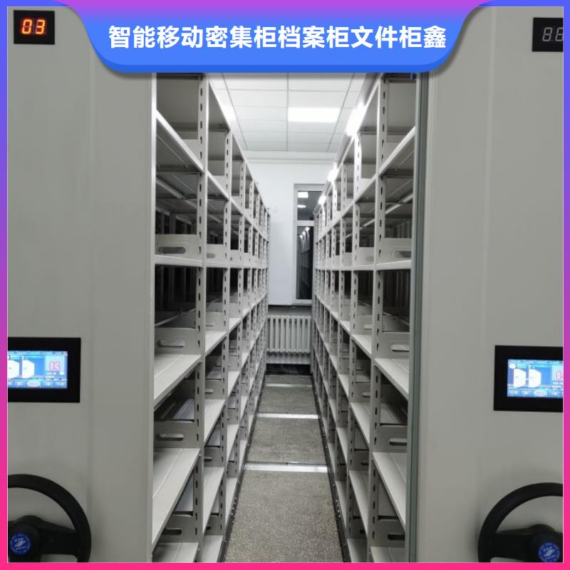 十年质保【鑫康】字画密集柜