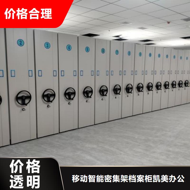 抱诚守真【凯美】书画密集柜
