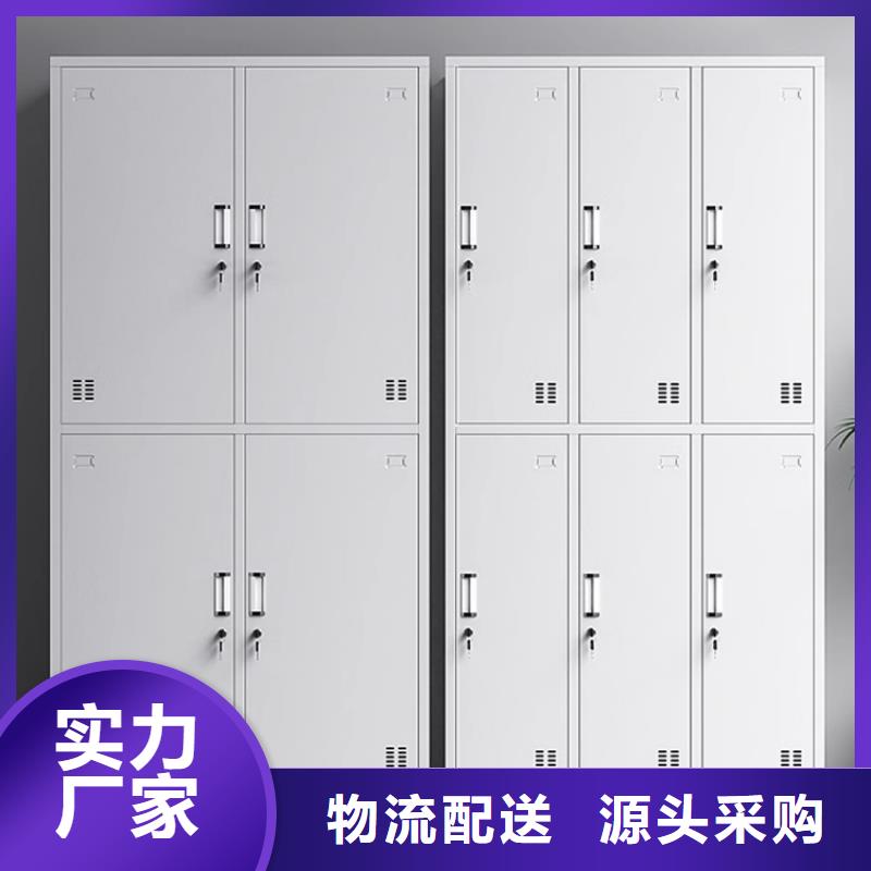 公司铁皮柜文件柜生产厂家