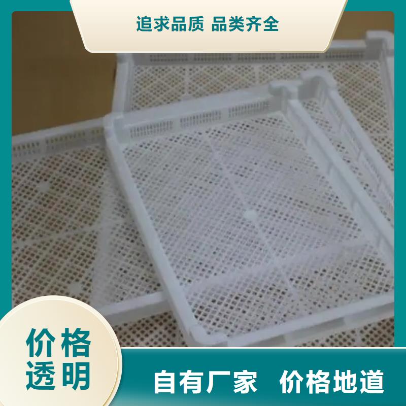 塑料垫板图片与价格-诚信立足