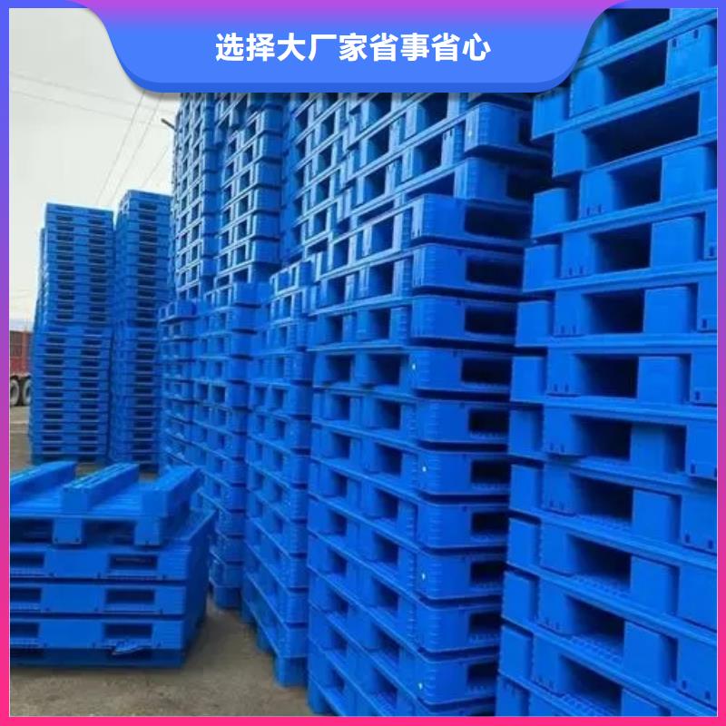 在本地买杀菌锅塑料隔板更实惠
