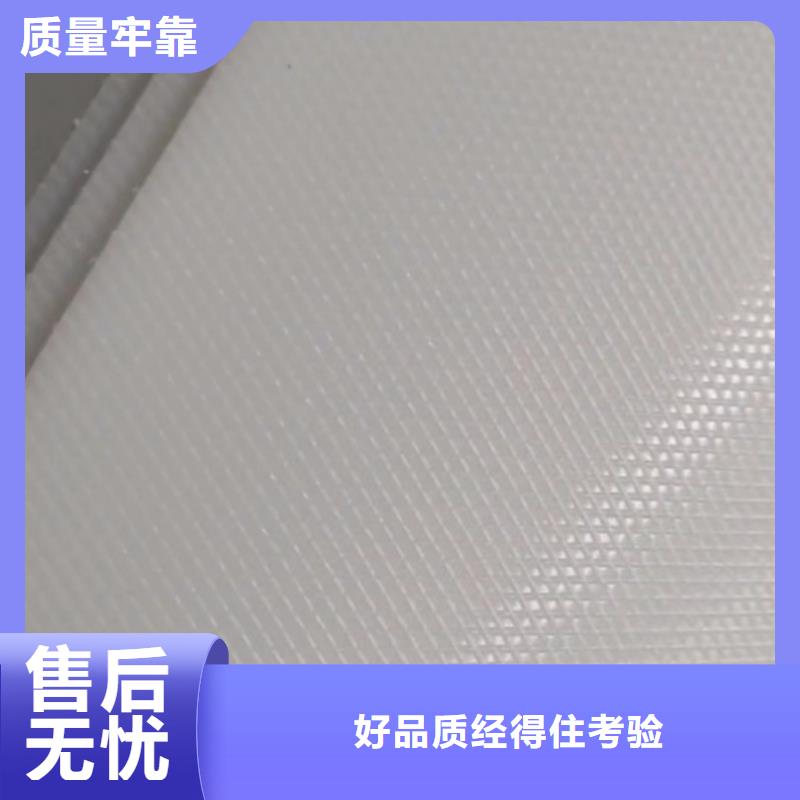 叉车推拉器塑料滑板轻型输送带信誉有保证