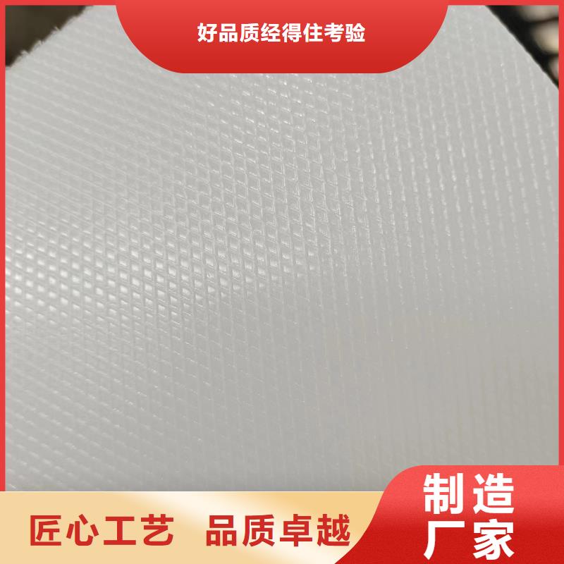 定制推拉器塑料软托盘的厂家