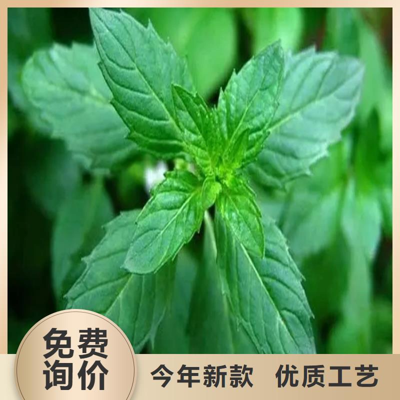 湄潭县回收CAB-35厂家收购