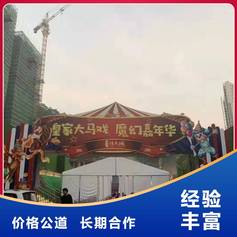 活体企鹅出租暖场气氛