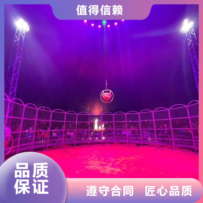 哪有出租鳄鱼表演的暖场气氛