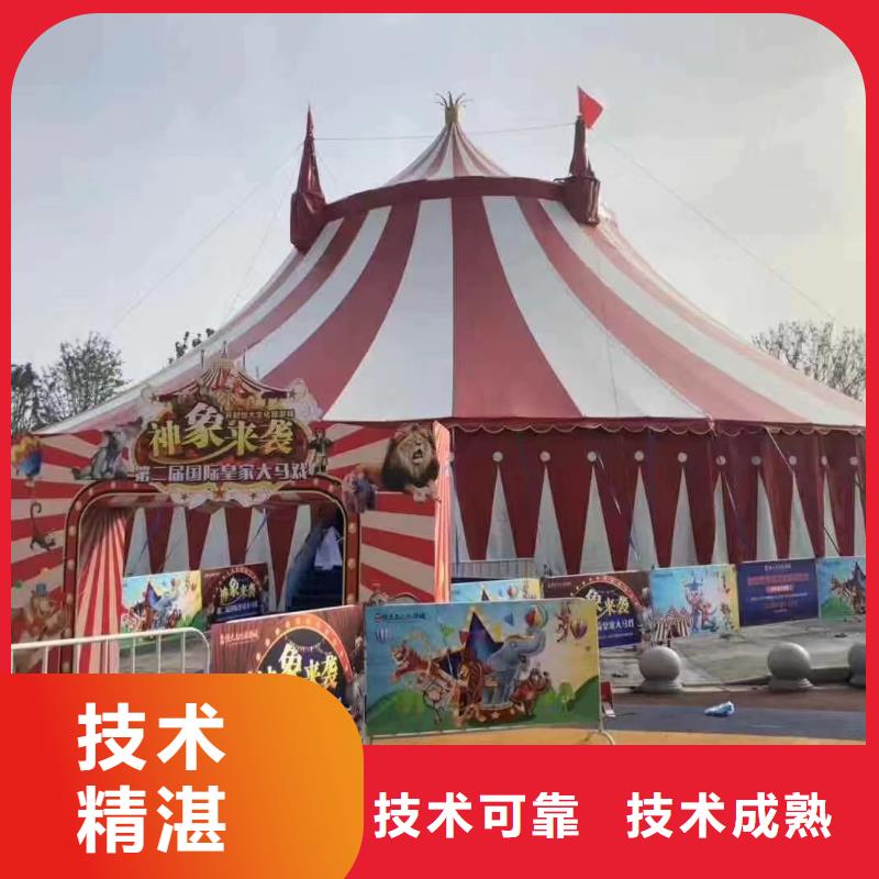 哪有出租鳄鱼表演的活动庆典