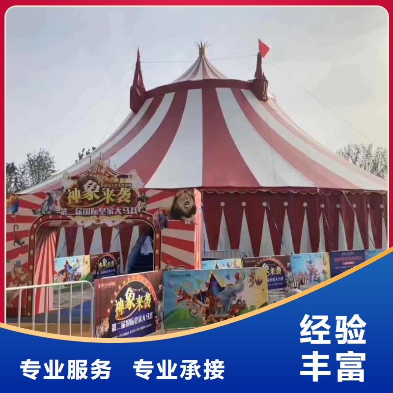 鳄鱼表演租赁活动庆典