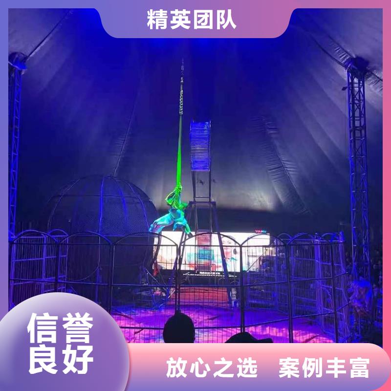 哪有出租鳄鱼表演的暖场气氛