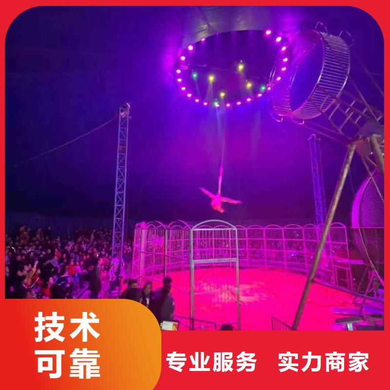 哪有出租鳄鱼表演的创意方案