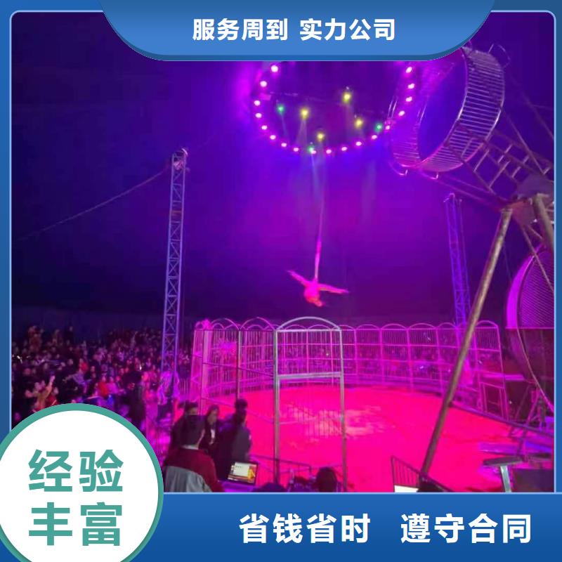 鳄鱼表演租赁联系我们