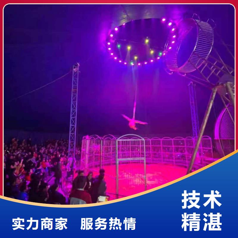 企鹅出租活跃气氛