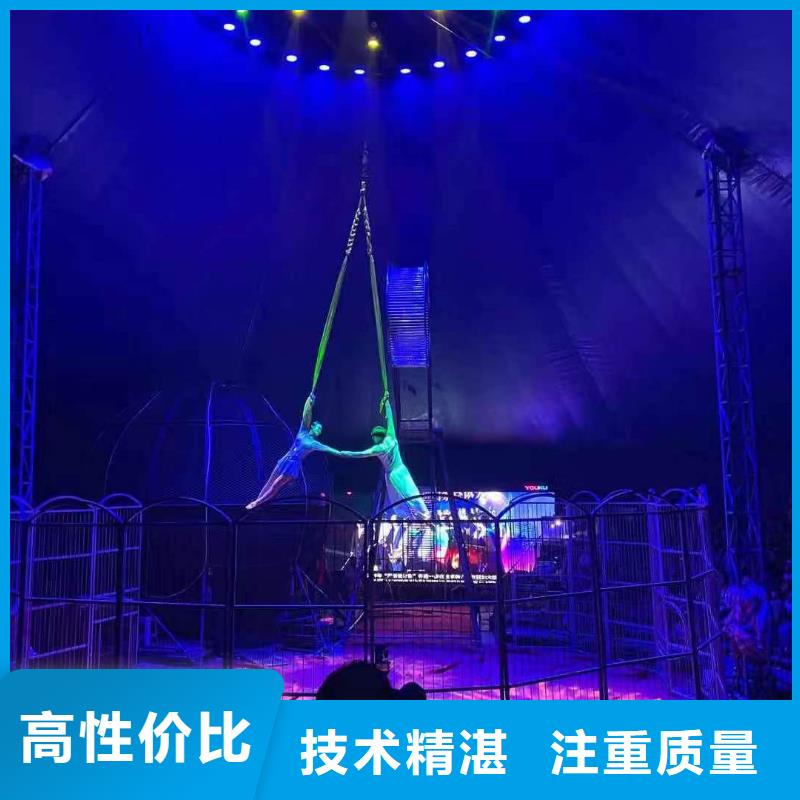 哪有出租鳄鱼表演的创意方案