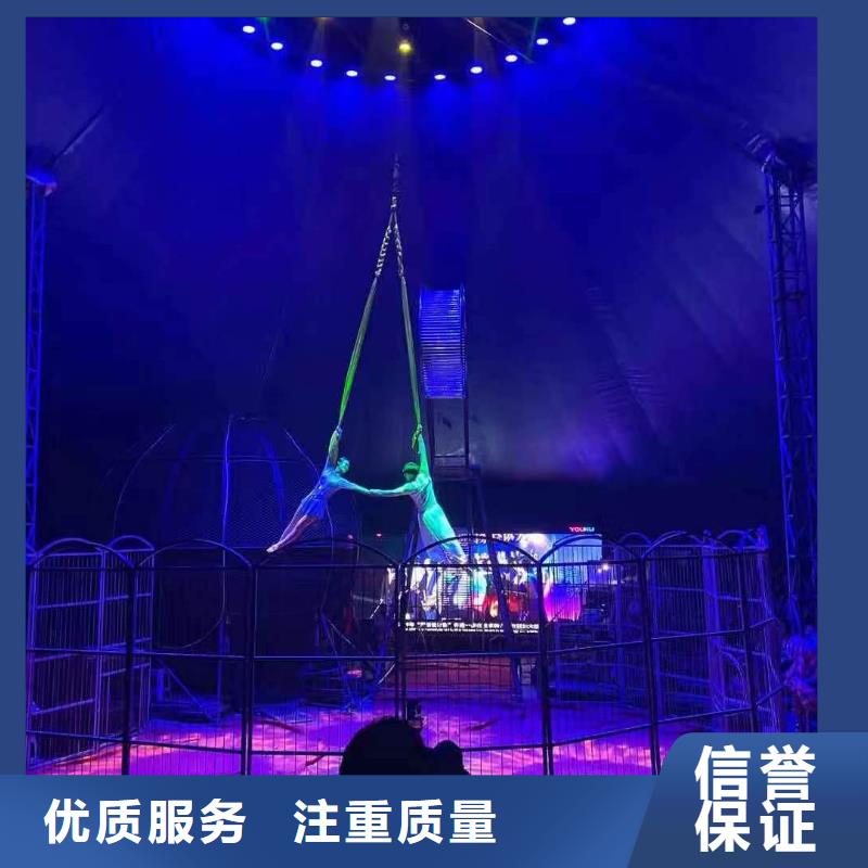 活体企鹅出租暖场气氛