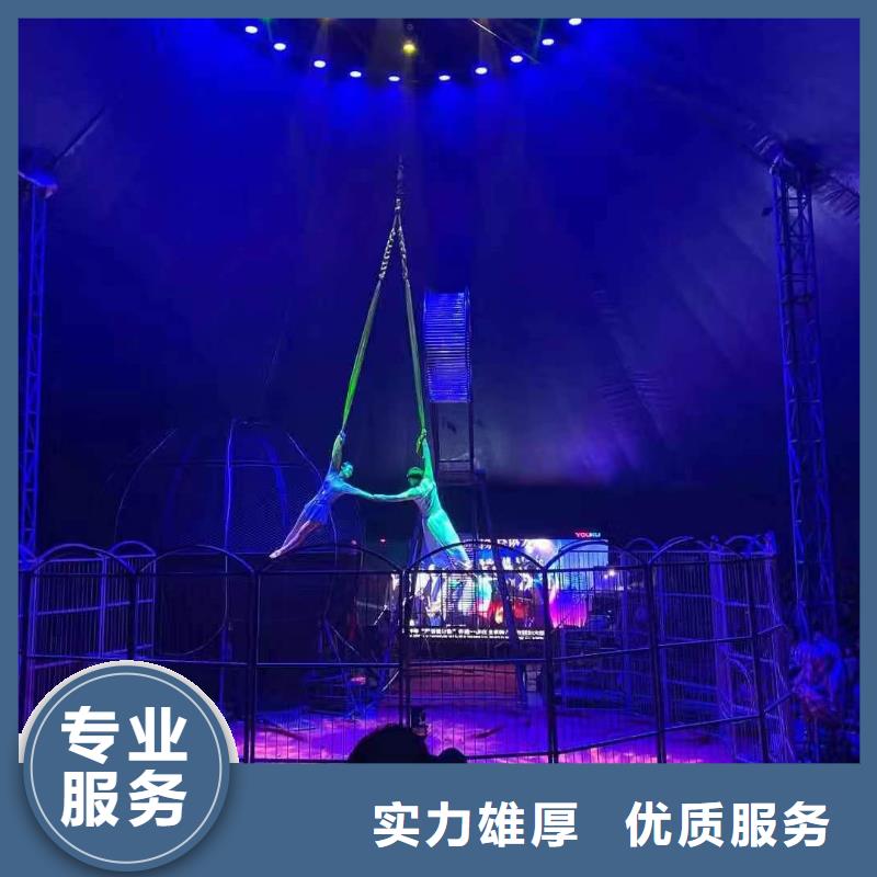 哪有出租鳄鱼表演的活动庆典