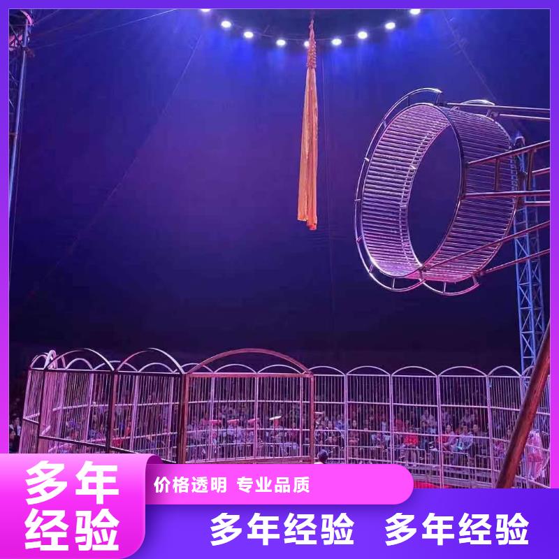 哪有出租鳄鱼表演的创意方案