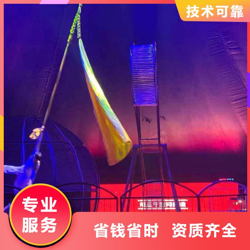 活体企鹅出租暖场气氛