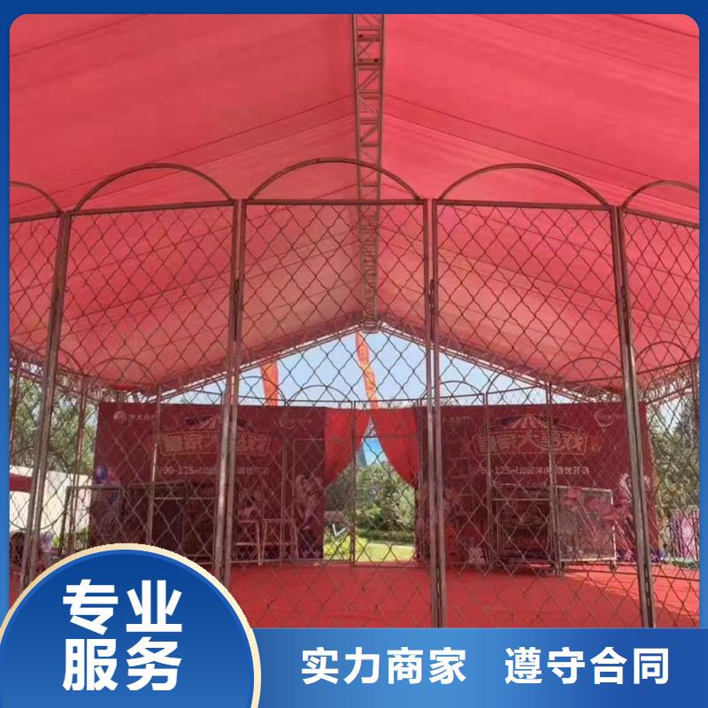 哪有出租鳄鱼表演的暖场气氛