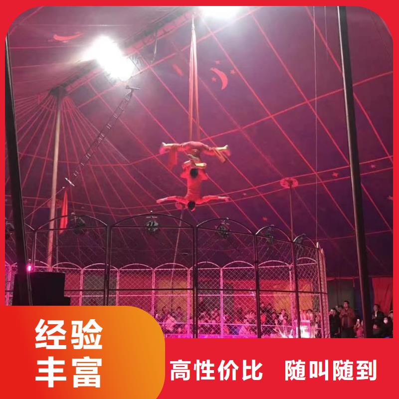 哪有出租鳄鱼表演的创意方案
