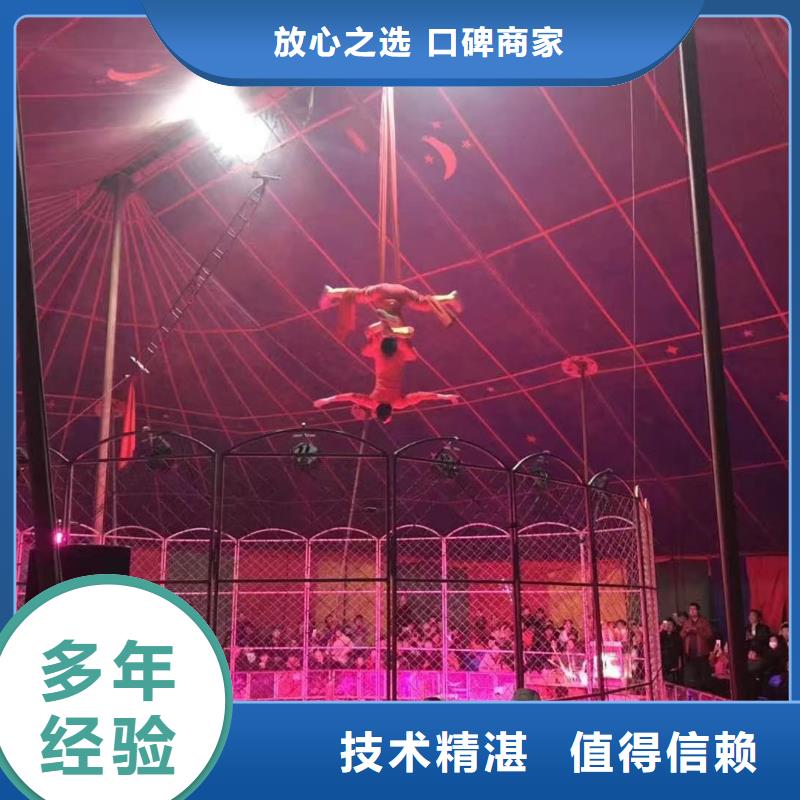 海洋生物展出租暖场气氛