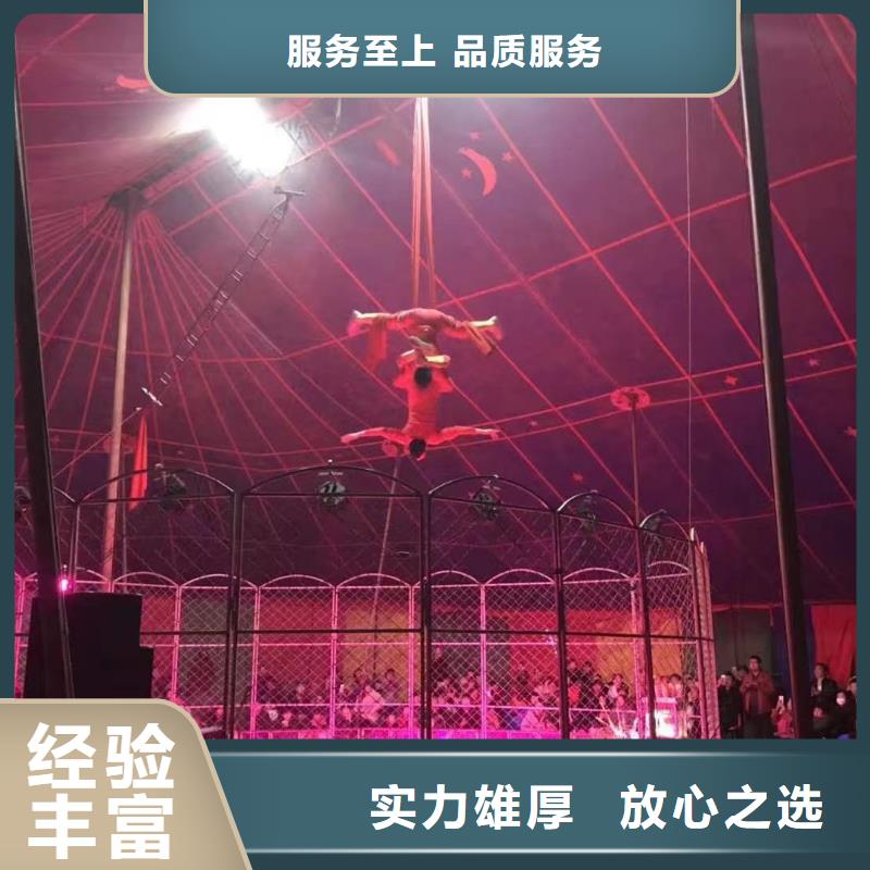 哪有出租鳄鱼表演的创意方案