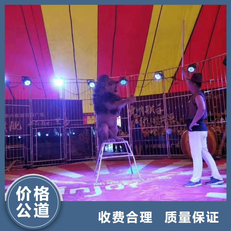 哪有出租鳄鱼表演的庆典活动