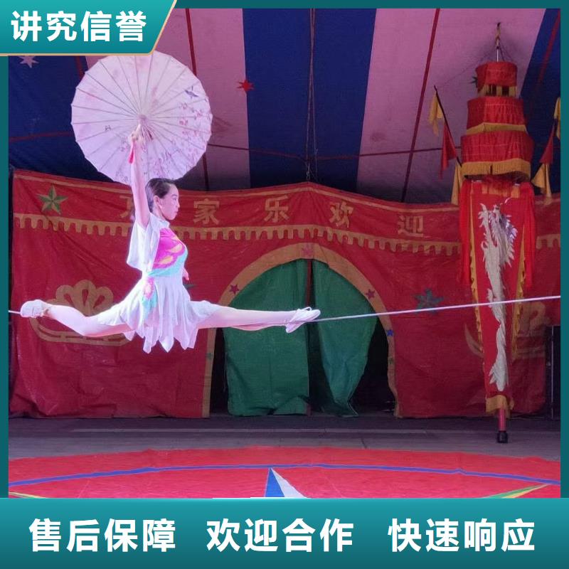 哪有出租鳄鱼表演的创意方案