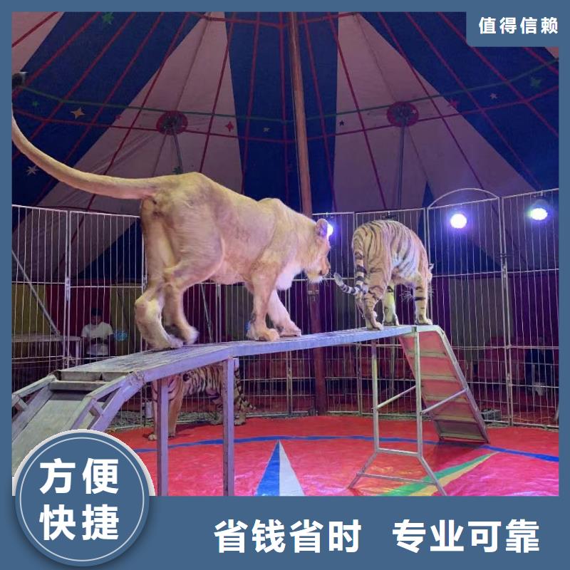 企鹅出租暖场方案