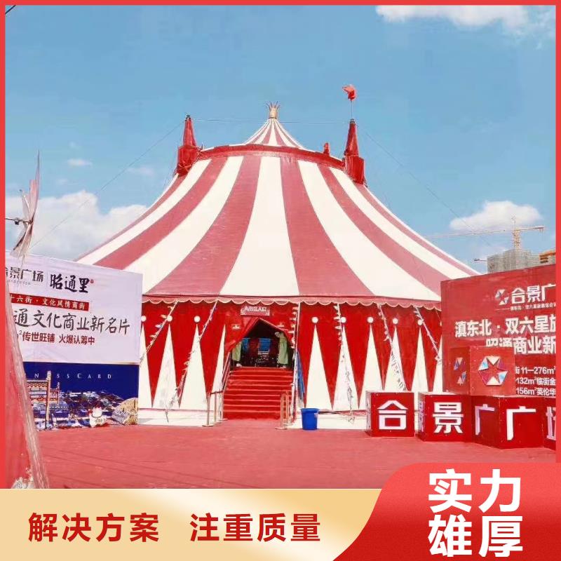 哪有出租鳄鱼表演的创意方案