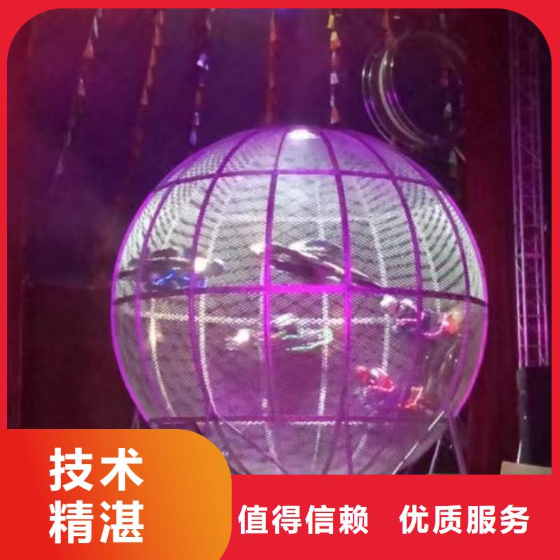活体企鹅出租暖场气氛