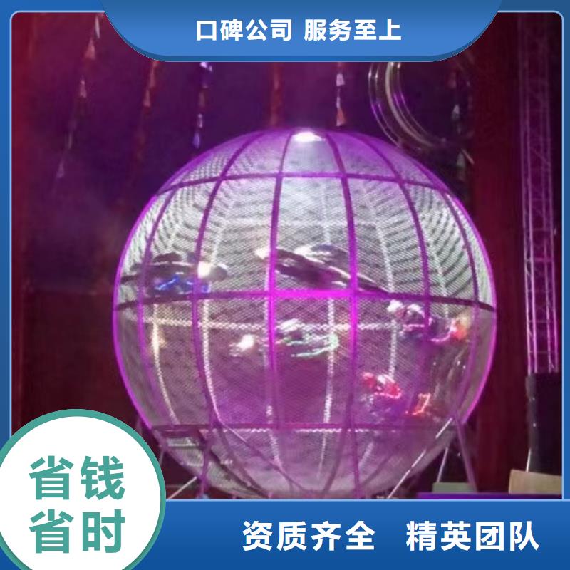 哪有出租鳄鱼表演的创意方案