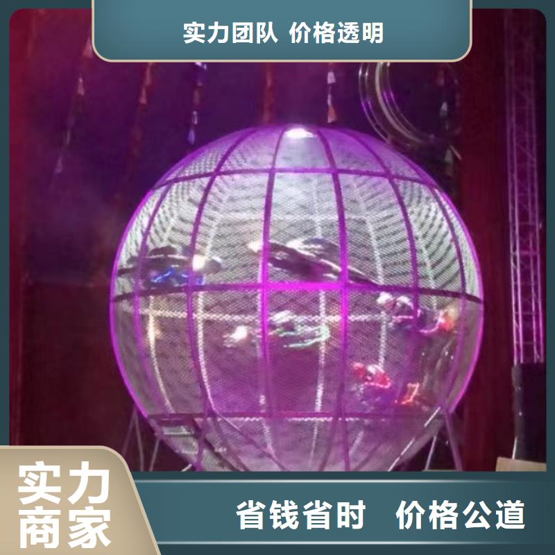哪有出租鳄鱼表演的暖场气氛