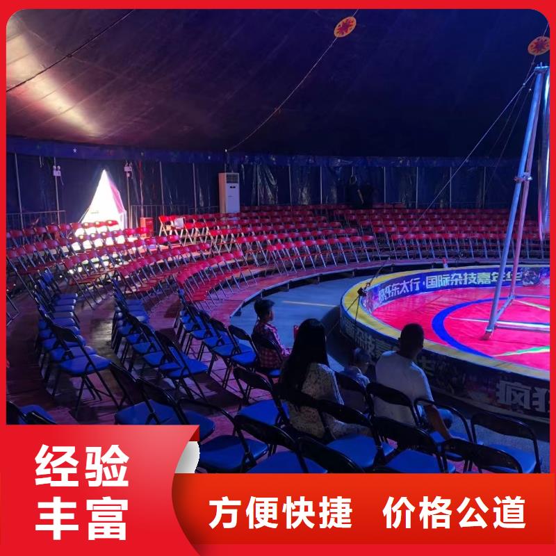 活体企鹅出租暖场气氛