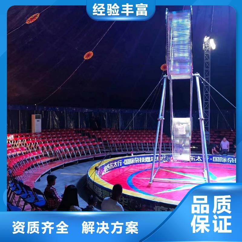活体企鹅出租暖场气氛