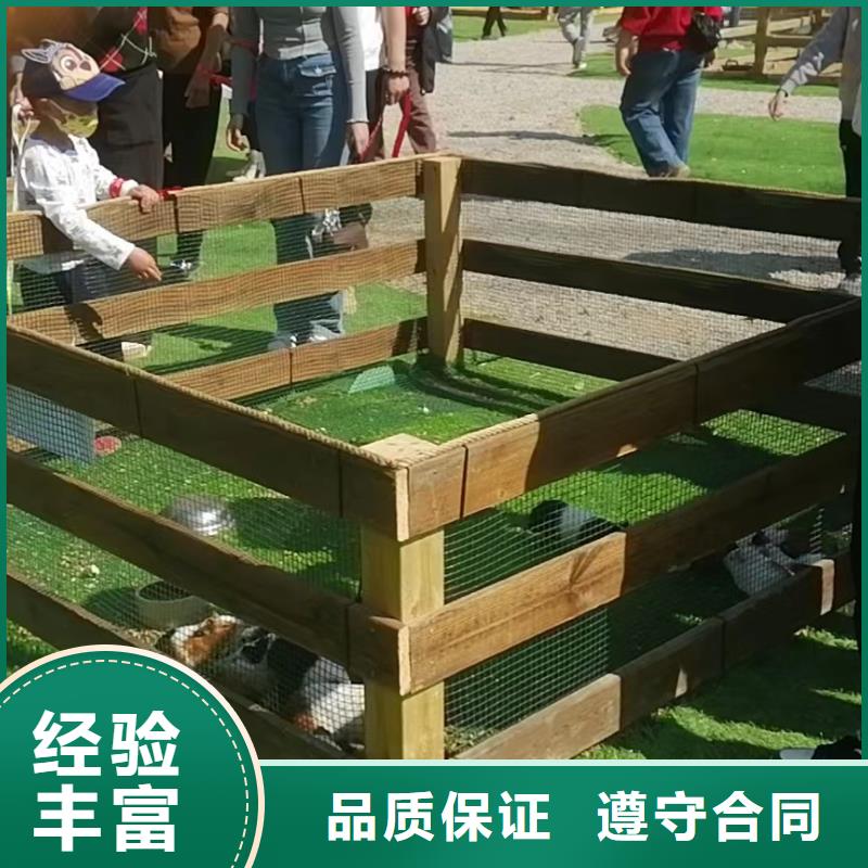 羊驼出租联系方式