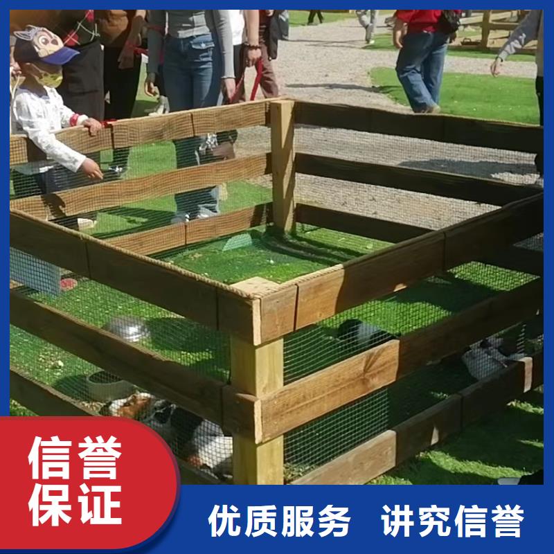 动物展租赁