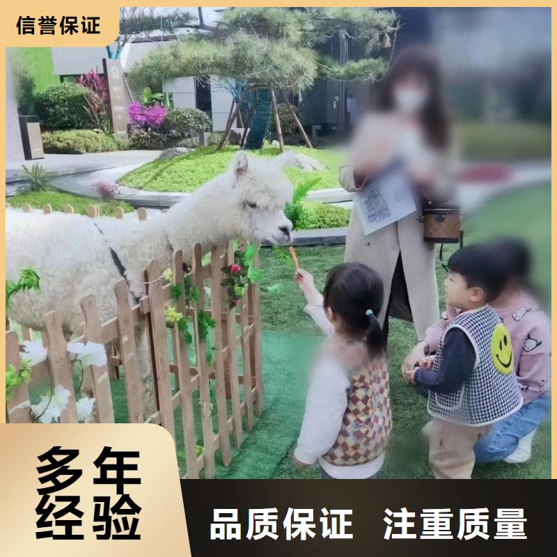 哪有出租动物表演的联系方式