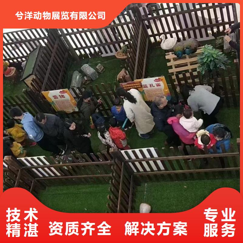 出租马戏团表演一手资源
