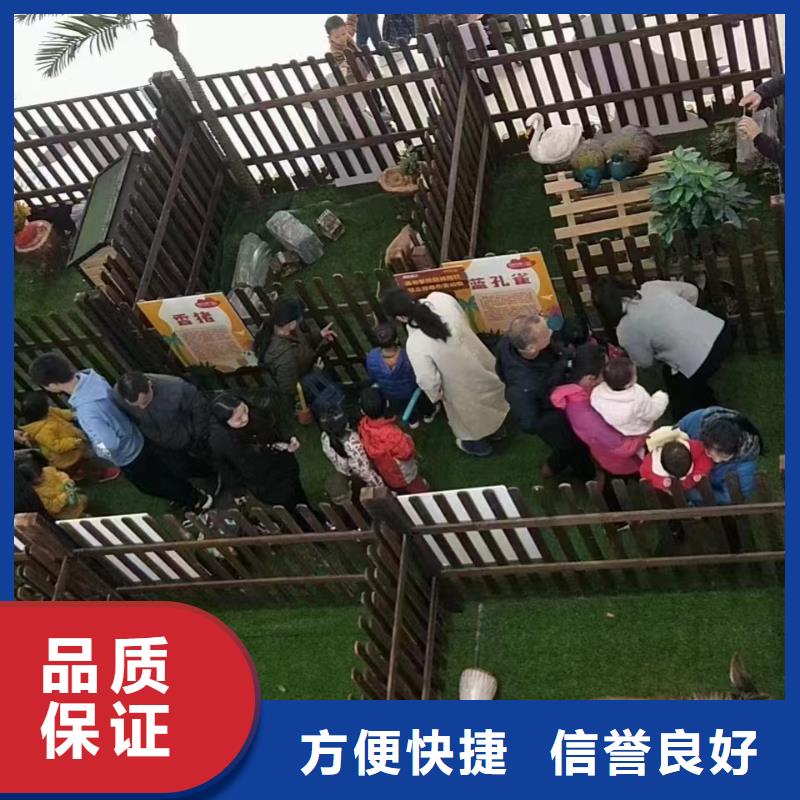 租赁马戏团表演联系电话