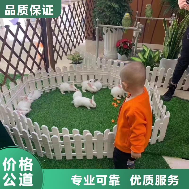 环球飞车表演租赁