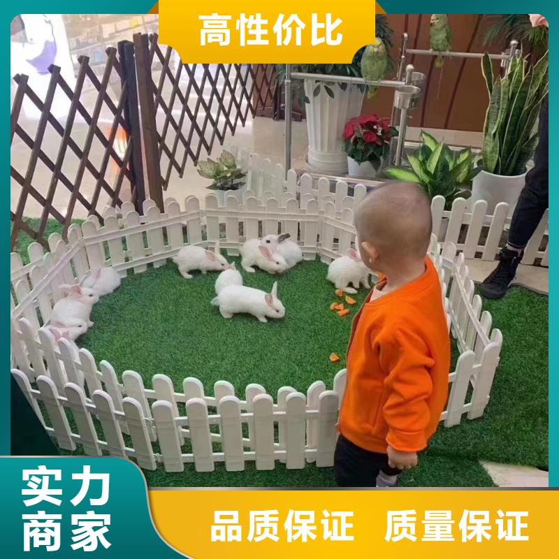 出租马戏团表演公司周边