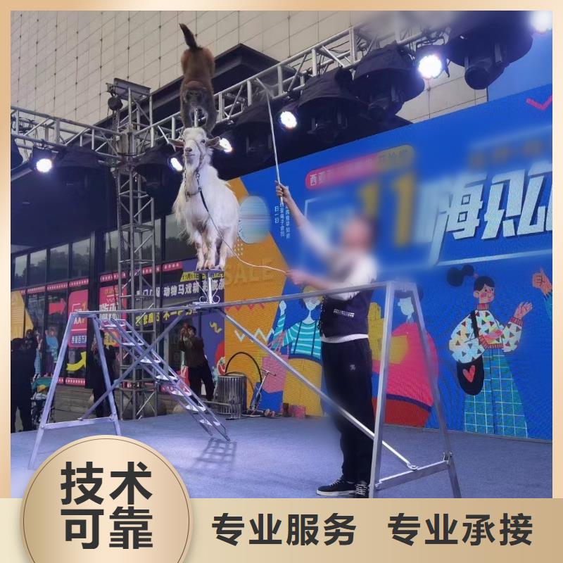 鹿岛活动出租价格优惠
