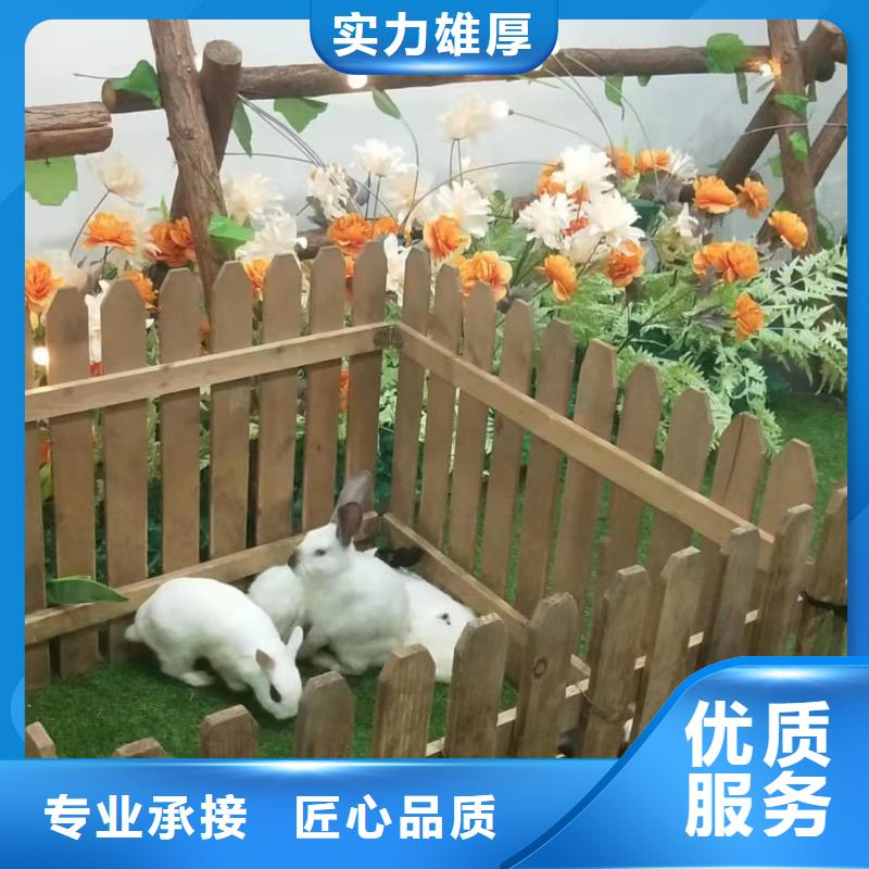 动物租赁联系电话