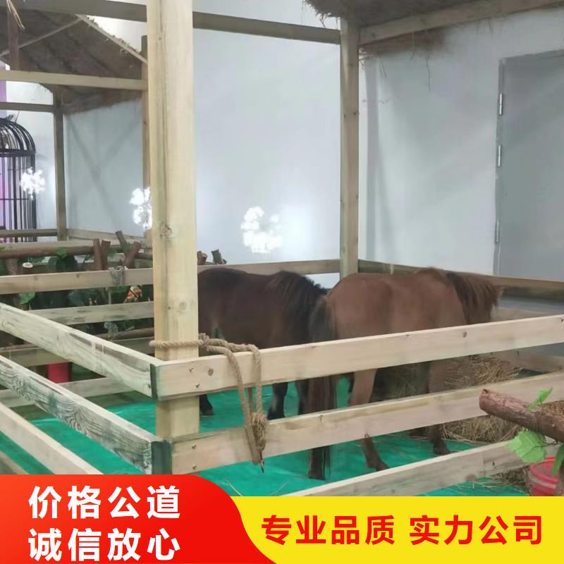 动物表演租赁点击查看
