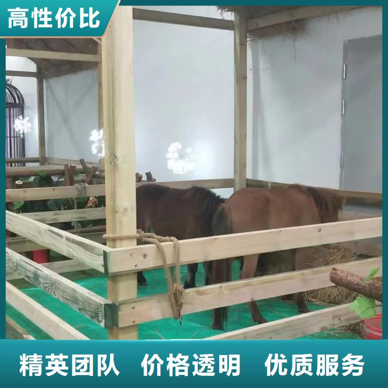 动物出租联系方式
