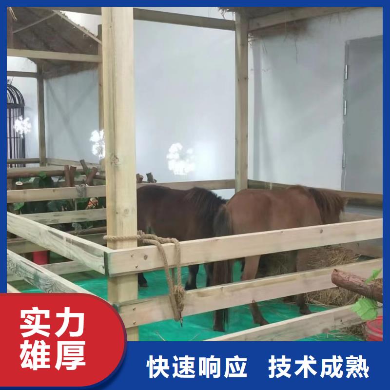 租赁马戏团表演主题展览