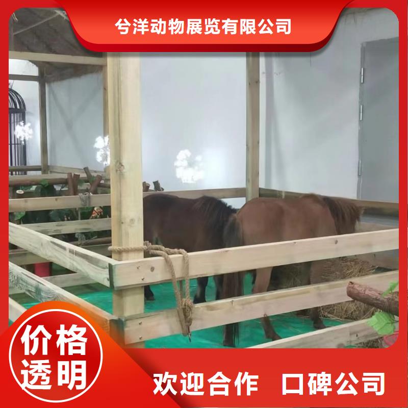 哪有出租马戏团的